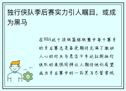 独行侠队季后赛实力引人瞩目，或成为黑马